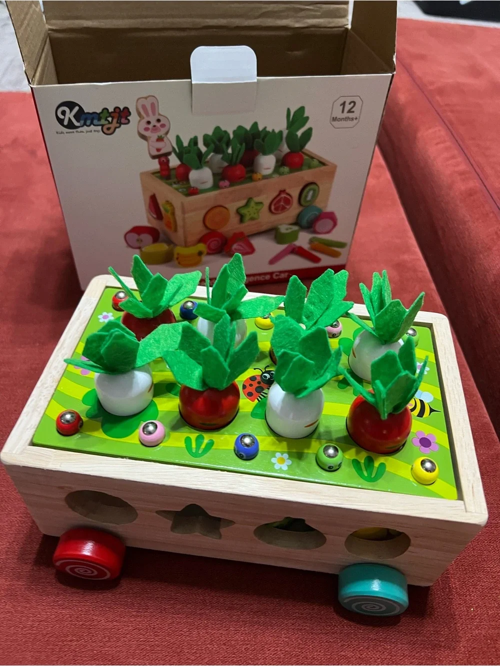 Toddlers Montessori Wooden Educational, Shape Sorting Toy